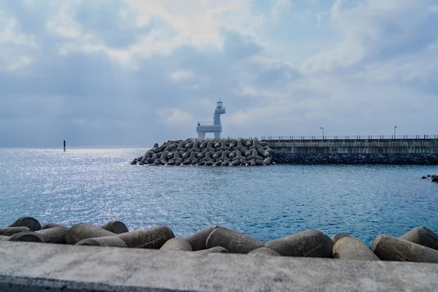 Chn Sh Wang Artist 2xkyq0hnmxi Unsplash