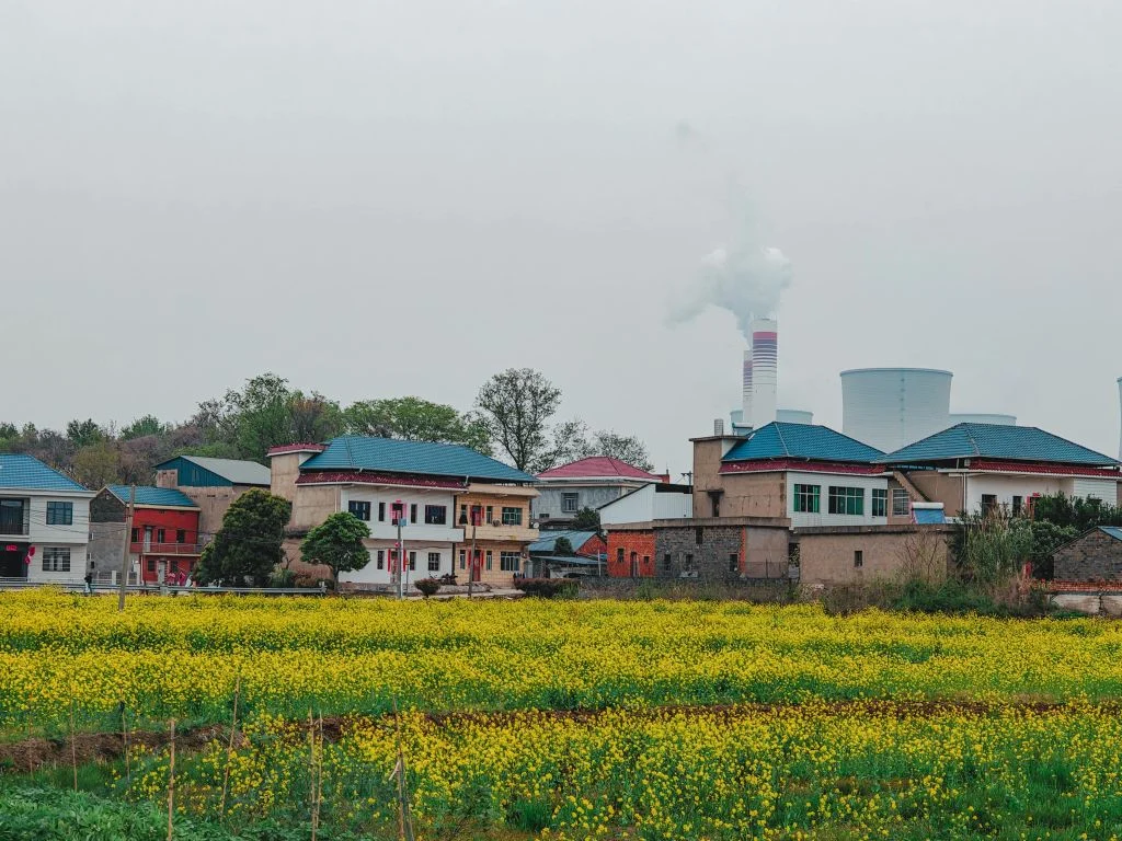 Pexels Hujason 32526885