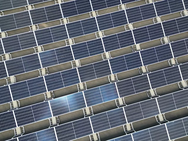 Pexels Giantasparagus 35501734