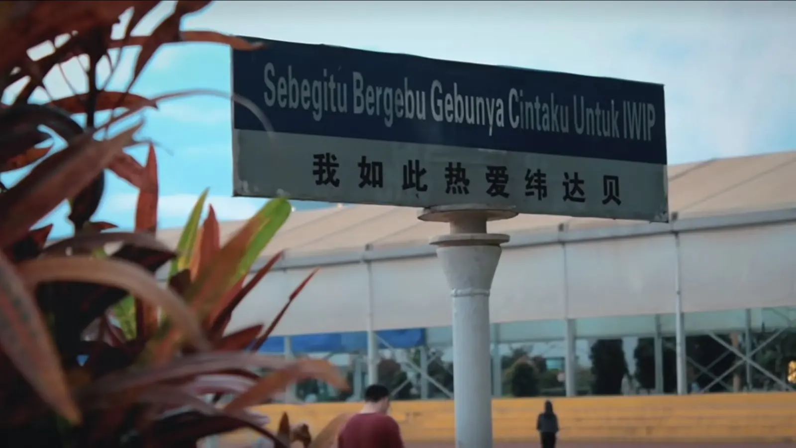 我是如此热爱纬达贝 Copy